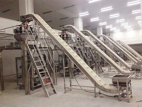 智能化全自動速凍食品蜜桃久久久久久提升企業生產效率